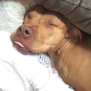 Meet your Posher, Manny